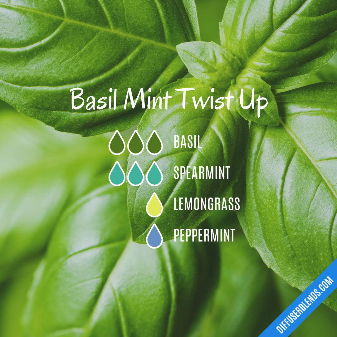 Basil Mint Twist Up — Essential Oil Diffuser Blend