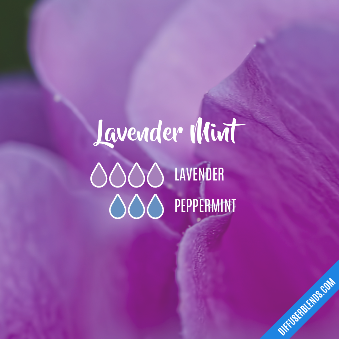 Lavender Mint — Essential Oil Diffuser Blend