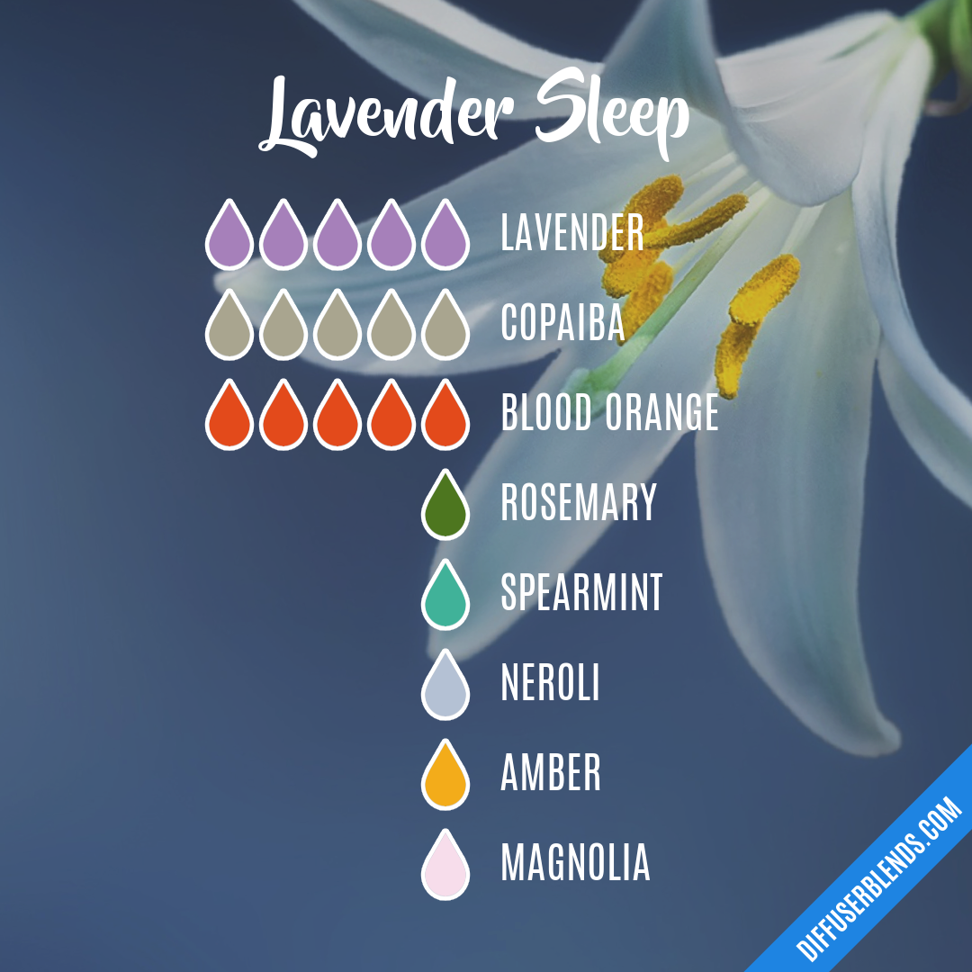 Lavender Sleep — Essential Oil Diffuser Blend