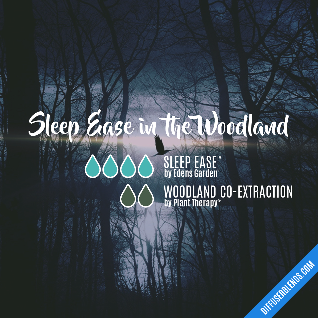 Sleep Ease in the Woodland — Essential Oil Diffuser Blend
