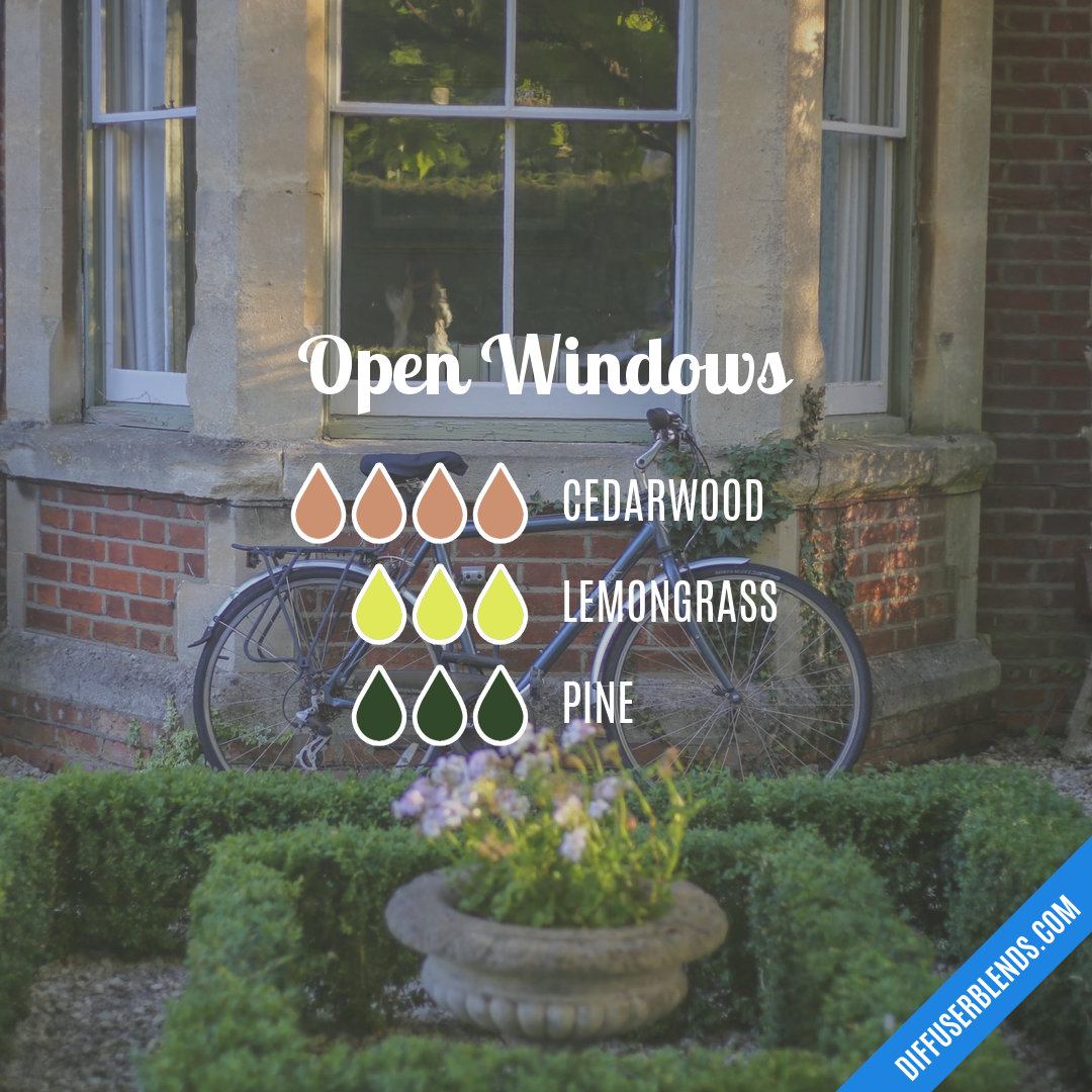 Open Windows — Essential Oil Diffuser Blend