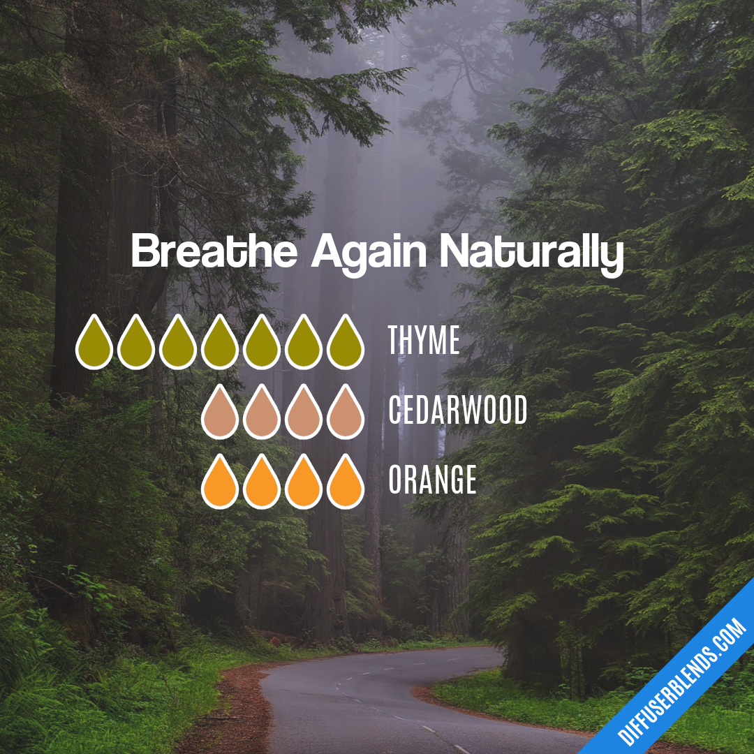 Breathe Again Naturally — Essential Oil Diffuser Blend