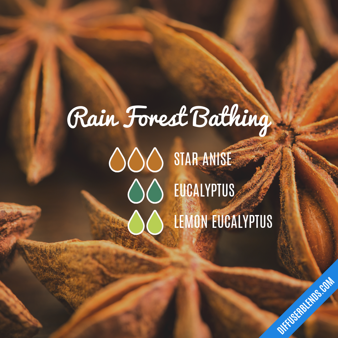 Rain Forest Bathing — Essential Oil Diffuser Blend