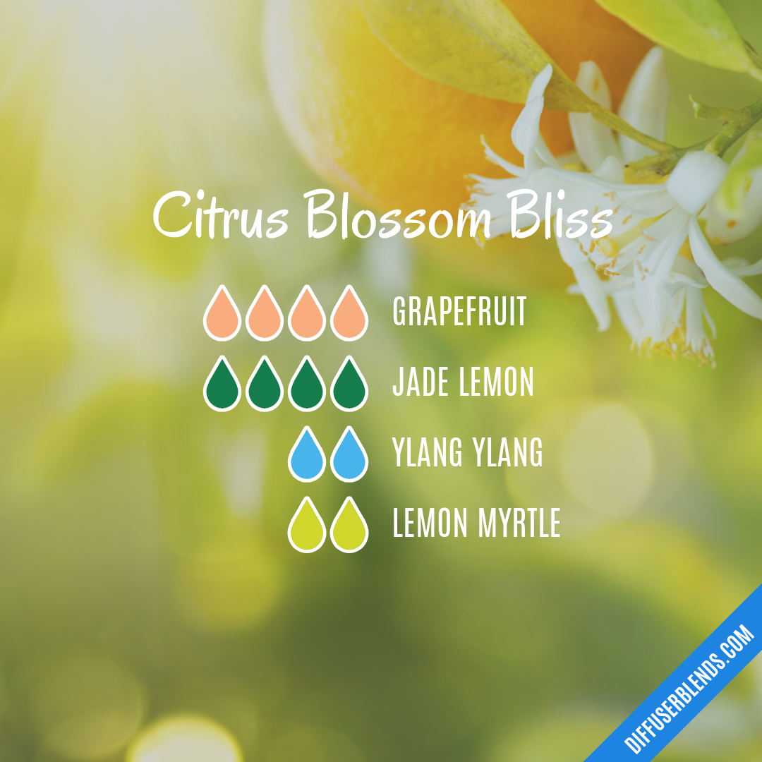 Citrus Blossom Bliss — Essential Oil Diffuser Blend