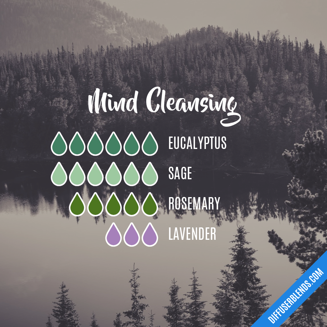 Mind Cleansing — Essential Oil Diffuser Blend