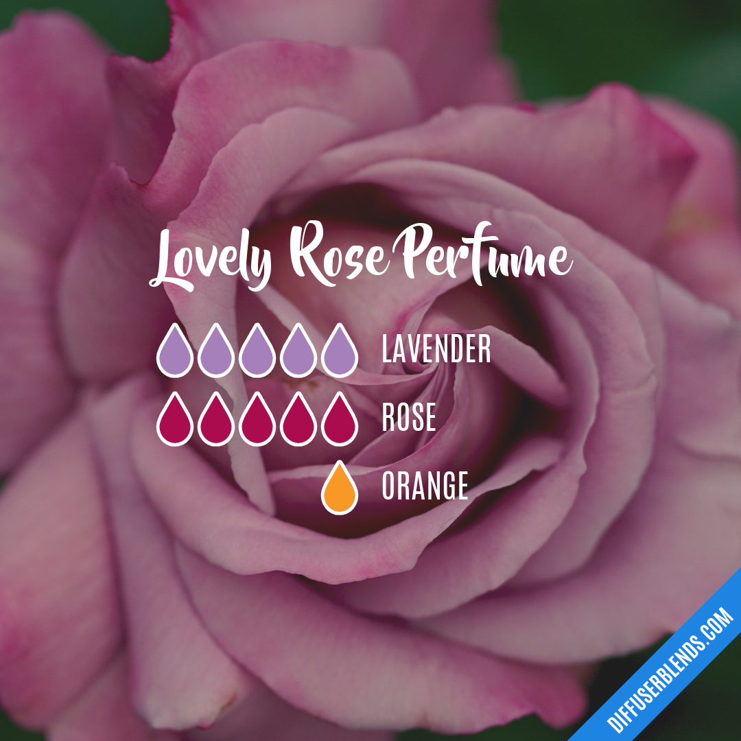 Lovely Rose Perfume — Essential Oil Diffuser Blend