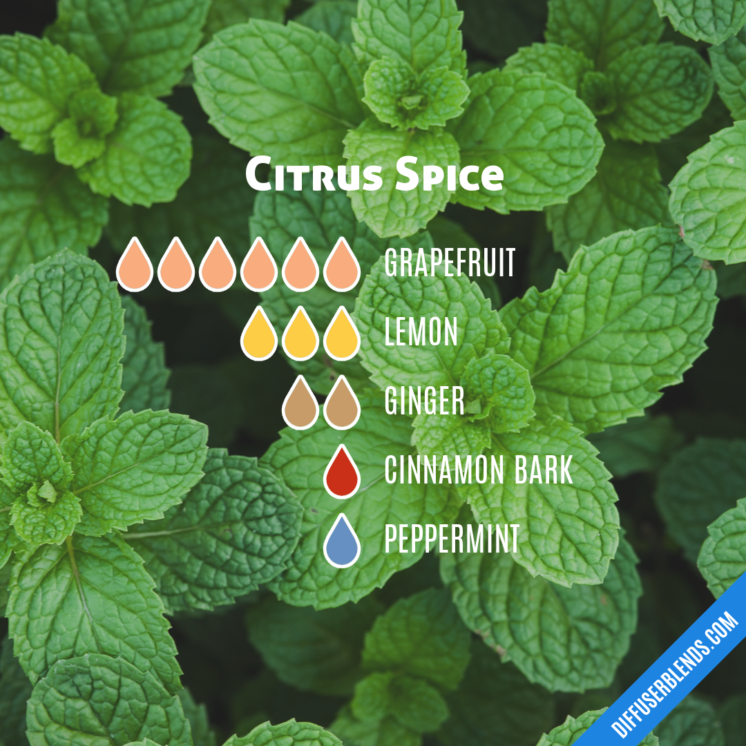 Citrus Spice — Essential Oil Diffuser Blend