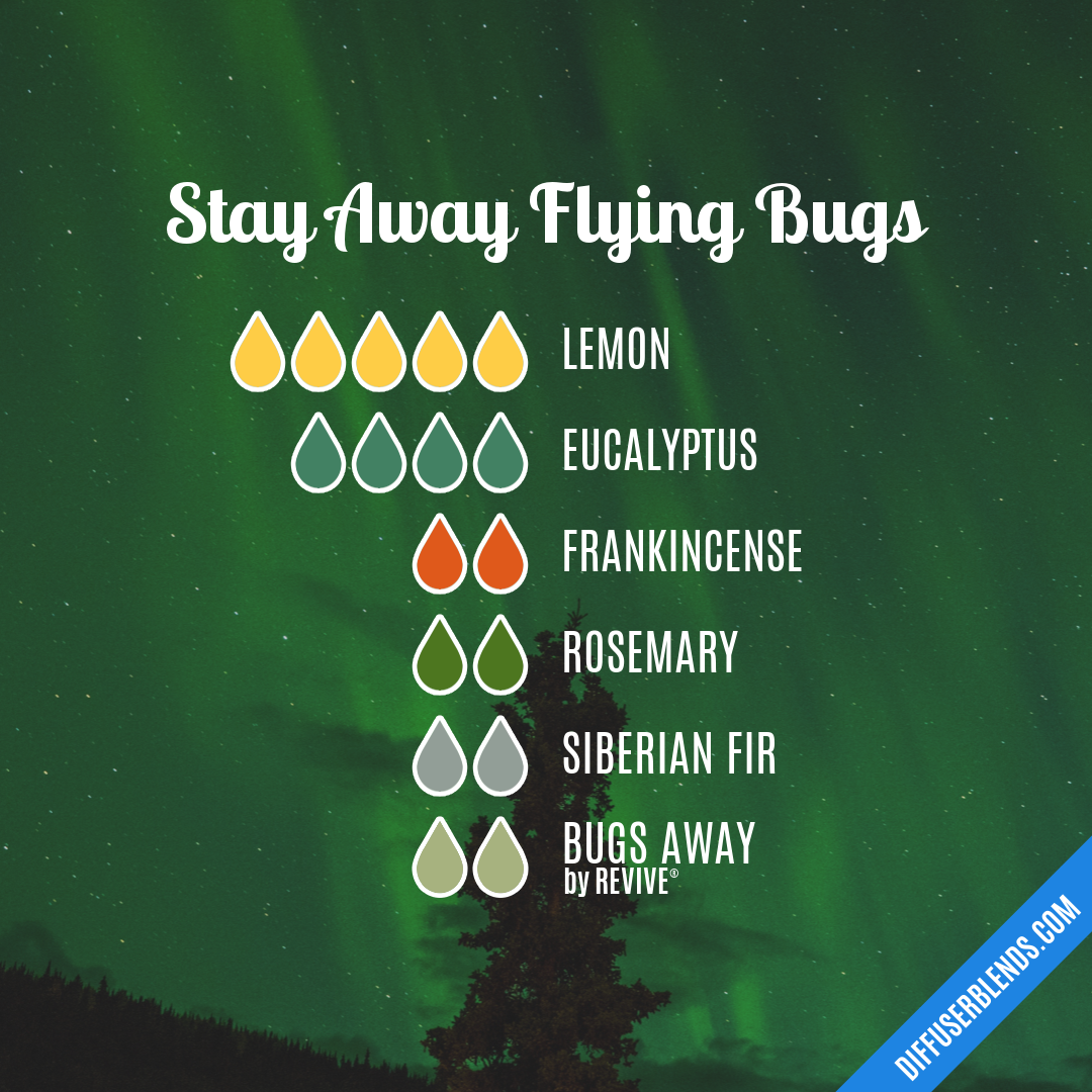 Stay Away Flying Bugs