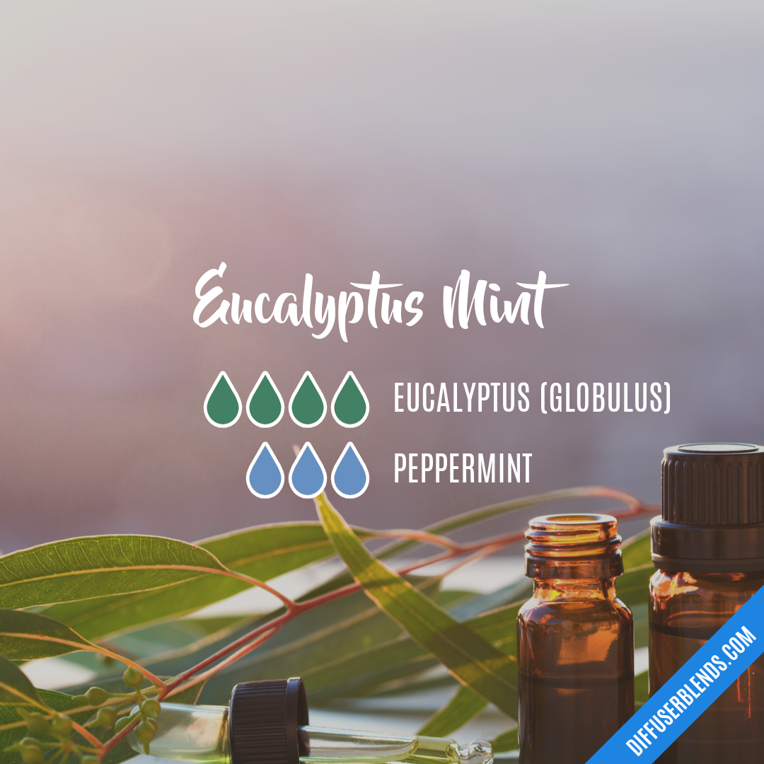 Eucalyptus Mint — Essential Oil Diffuser Blend