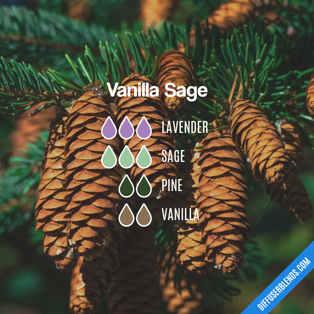Vanilla Sage — Essential Oil Diffuser Blend