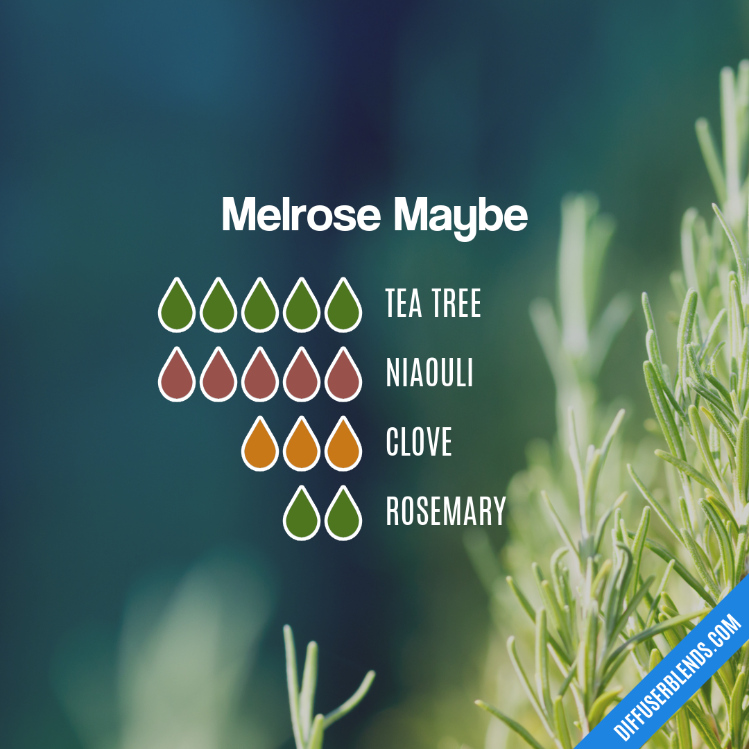 Melrose Maybe — Essential Oil Diffuser Blend