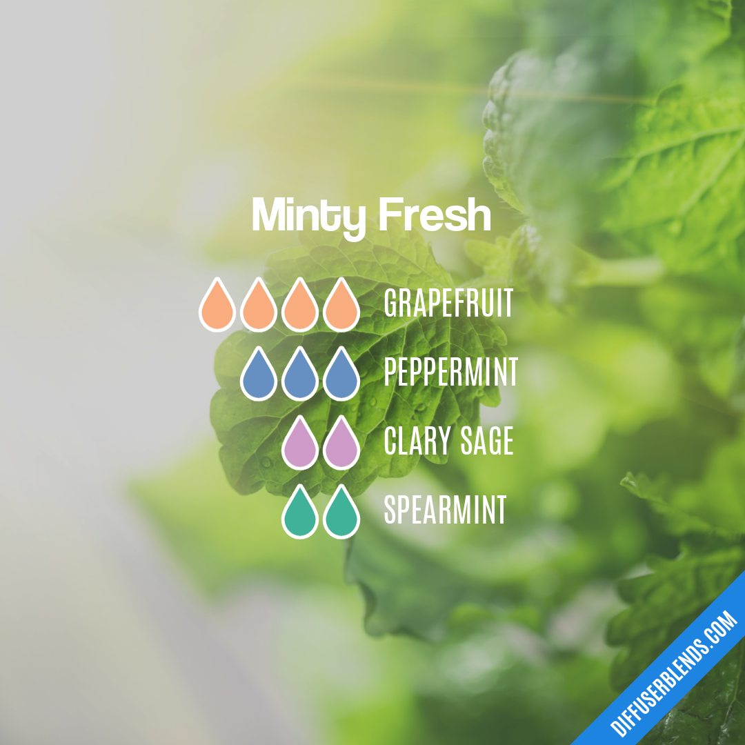 Minty Fresh — Essential Oil Diffuser Blend