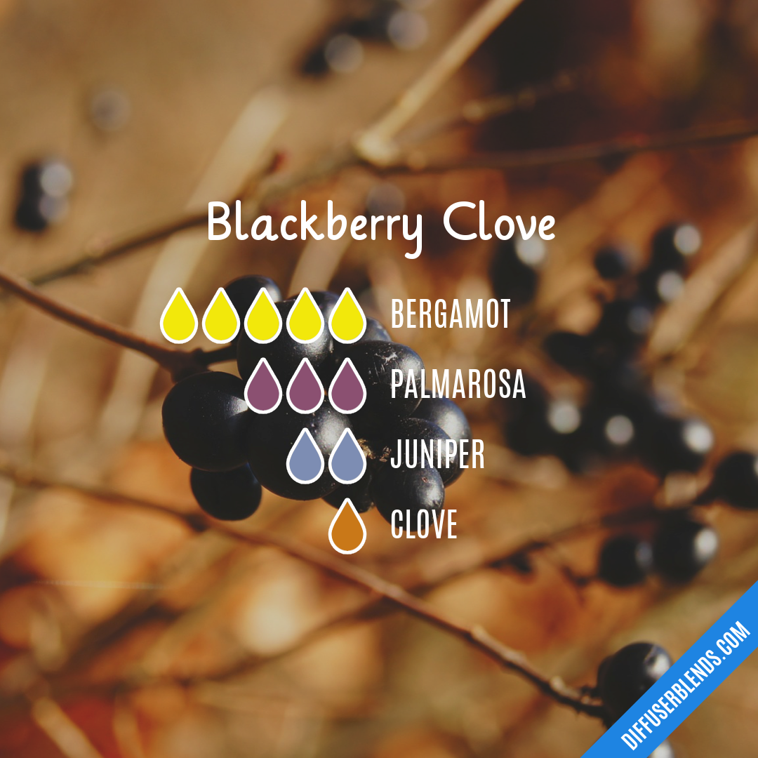 Blackberry Clove — Essential Oil Diffuser Blend