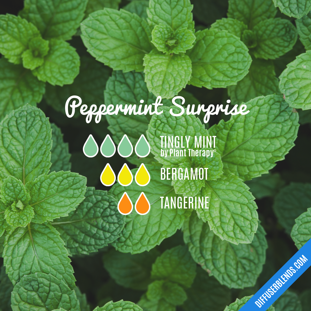 Peppermint Surprise — Essential Oil Diffuser Blend
