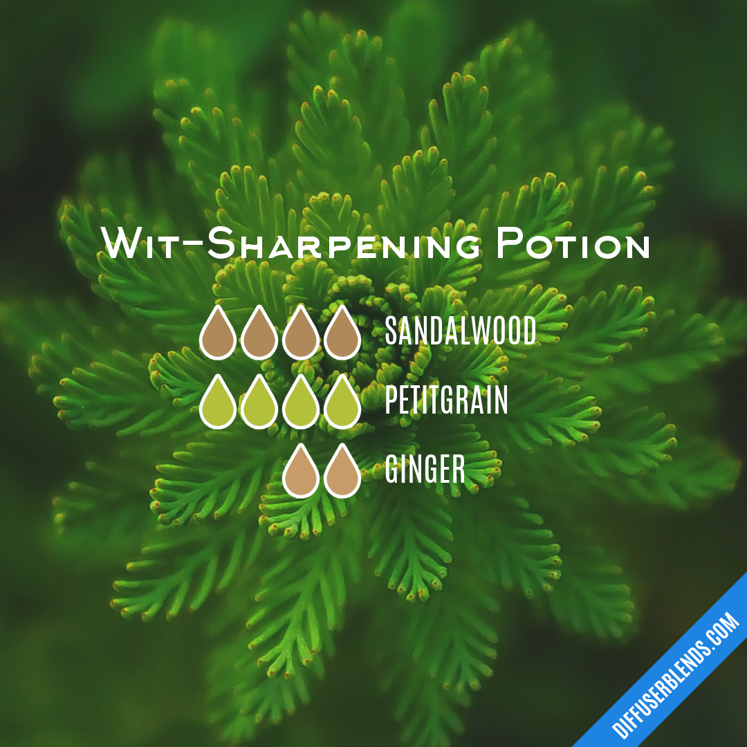 Wit-Sharpening Potion — Essential Oil Diffuser Blend