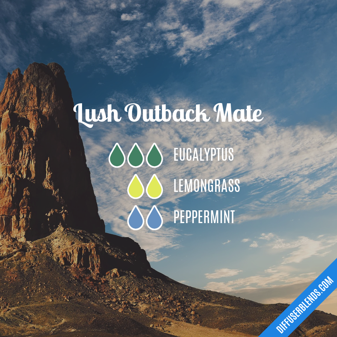 Lush Outback Mate — Essential Oil Diffuser Blend