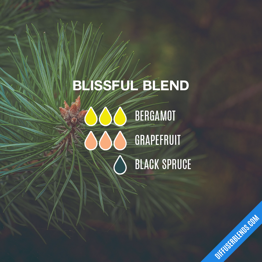 Blissful Blend — Essential Oil Diffuser Blend