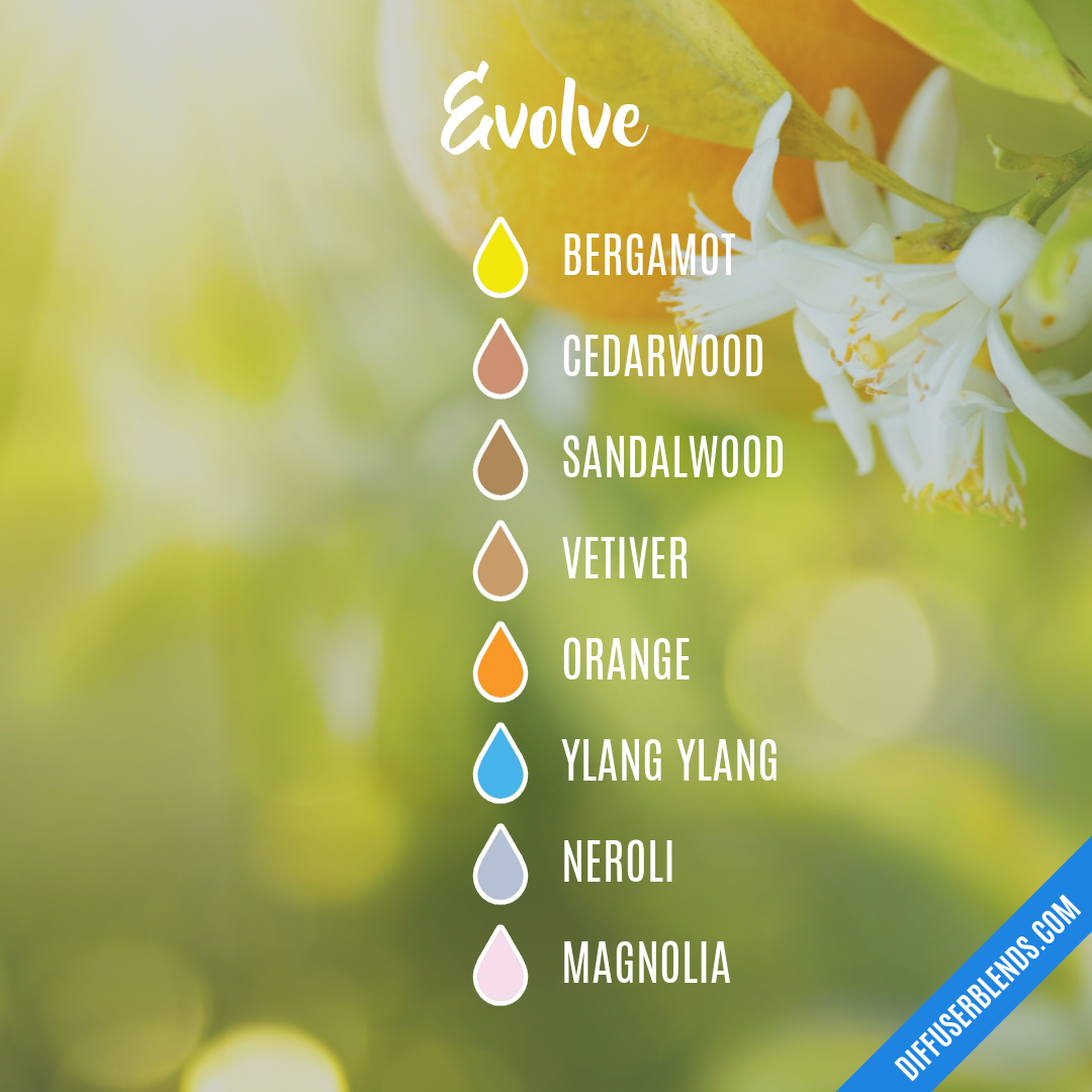 Evolve — Essential Oil Diffuser Blend