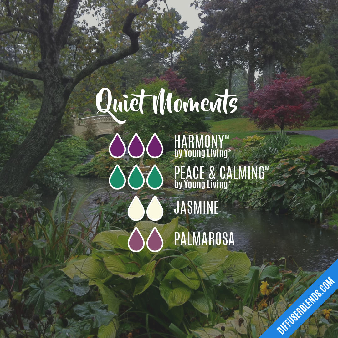 Quiet Moments DiffuserBlends