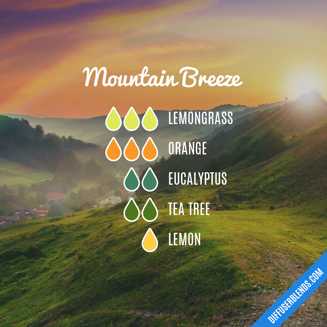 Mountain Breeze — Essential Oil Diffuser Blend