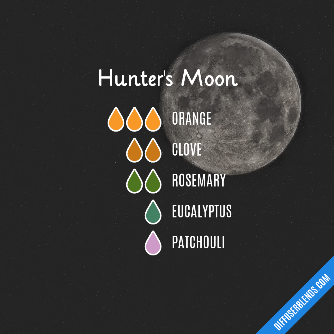 Hunter's Moon — Essential Oil Diffuser Blend