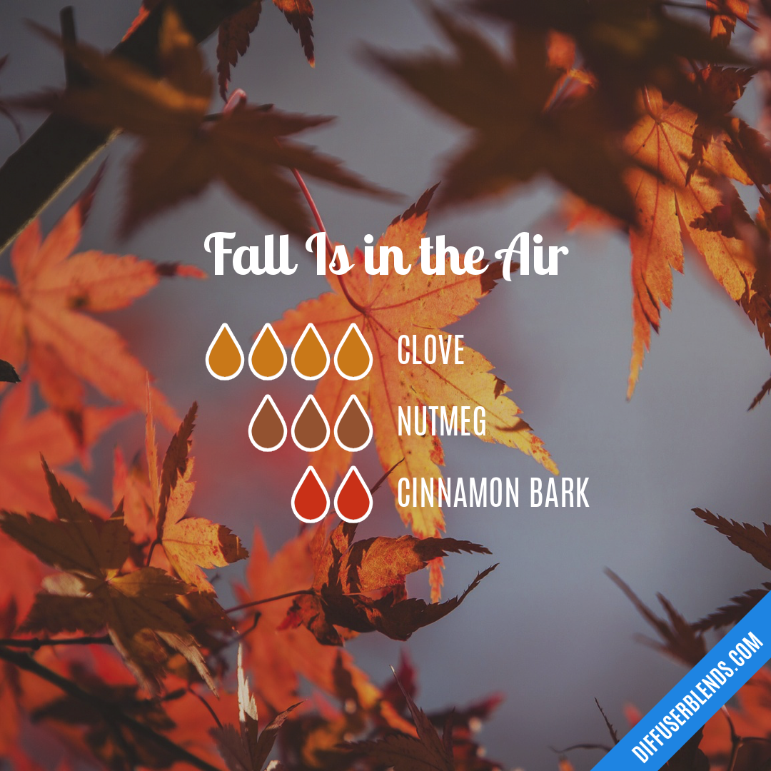 Fall Is in the Air — Essential Oil Diffuser Blend