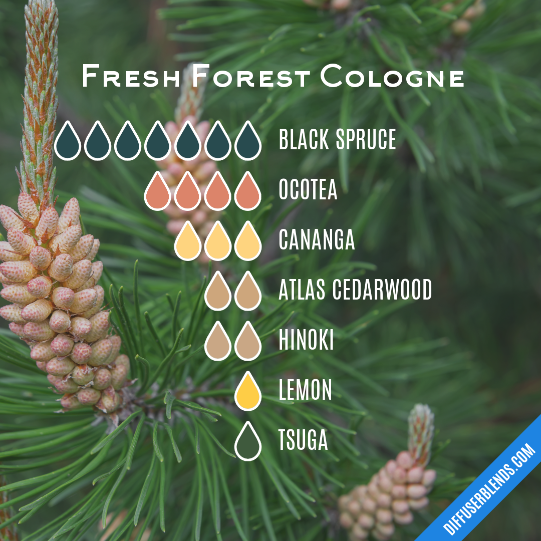 Fresh Forest Cologne — Essential Oil Diffuser Blend