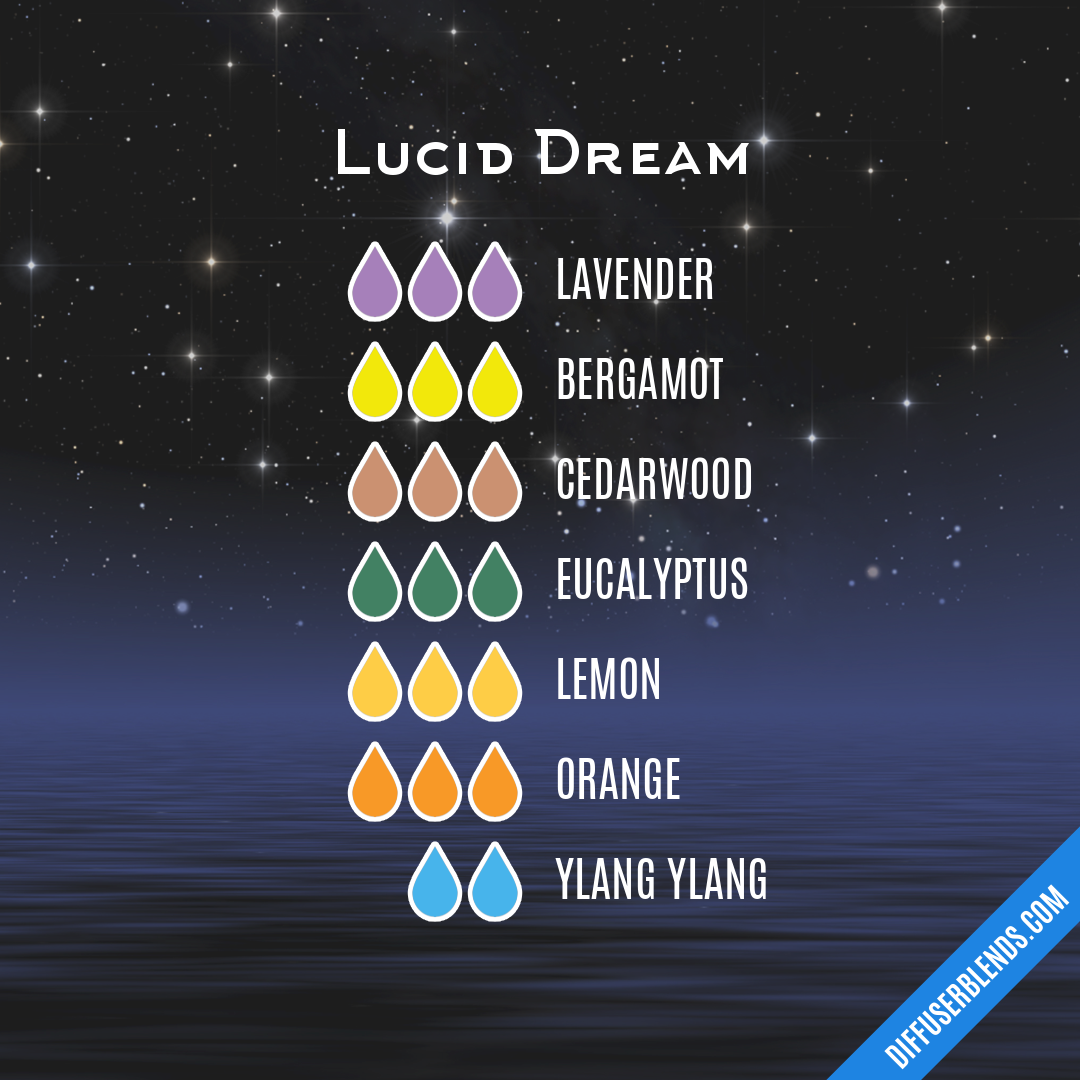 Lucid Dream — Essential Oil Diffuser Blend