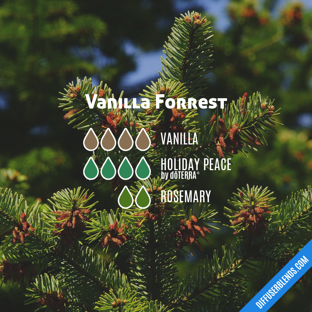 Vanilla Forrest — Essential Oil Diffuser Blend