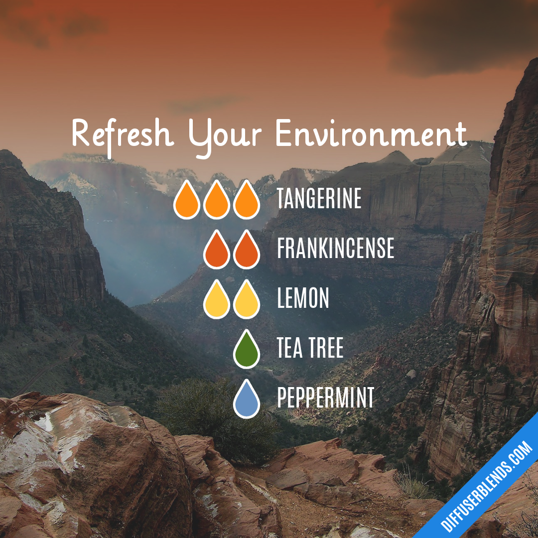 Refresh Your Environment — Essential Oil Diffuser Blend