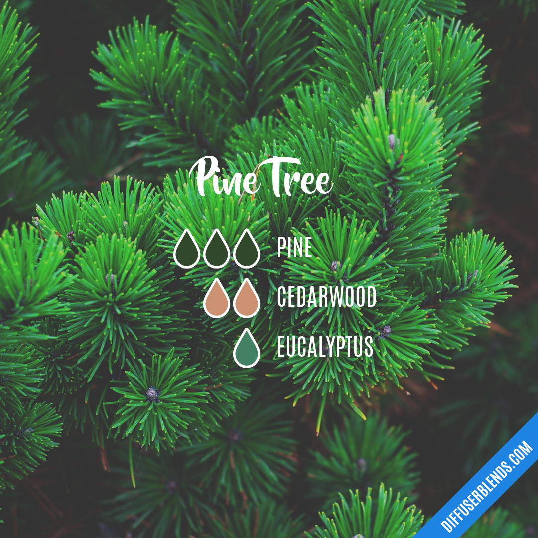 Pine Tree — Essential Oil Diffuser Blend