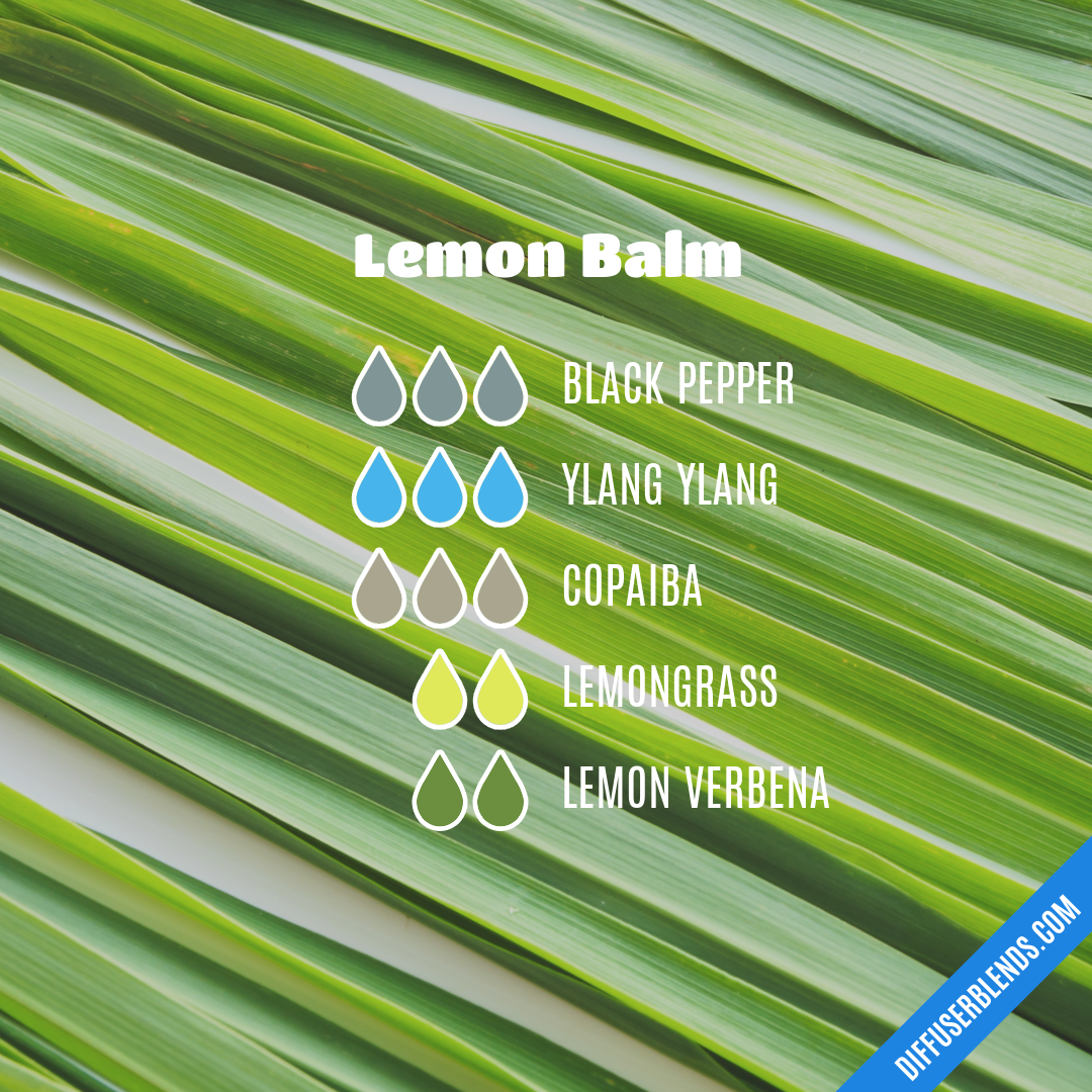 Lemon Balm — Essential Oil Diffuser Blend