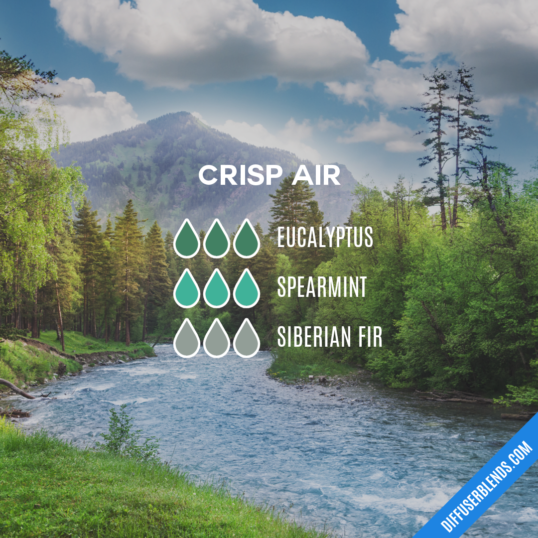 Crisp Air — Essential Oil Diffuser Blend