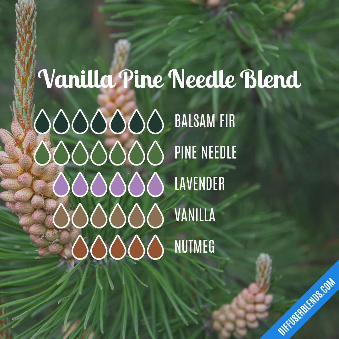 Vanilla Pine Needle Blend — Essential Oil Diffuser Blend