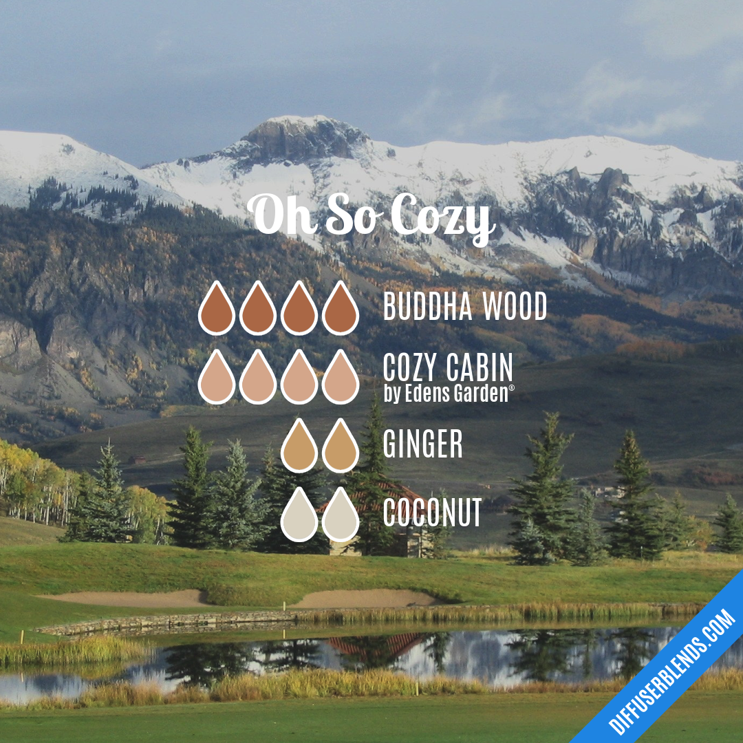Oh So Cozy — Essential Oil Diffuser Blend