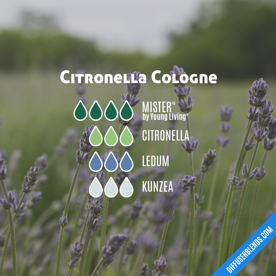 Citronella Cologne — Essential Oil Diffuser Blend