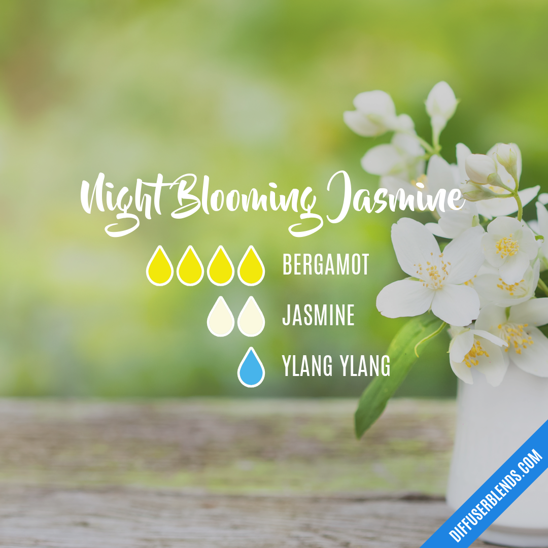 Night Blooming Jasmine — Essential Oil Diffuser Blend