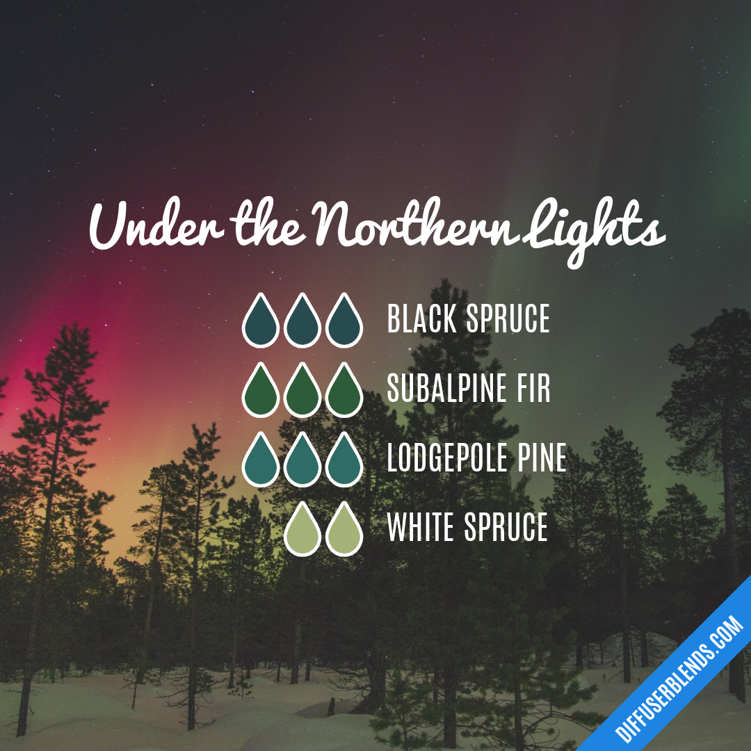 Under the Northern Lights — Essential Oil Diffuser Blend