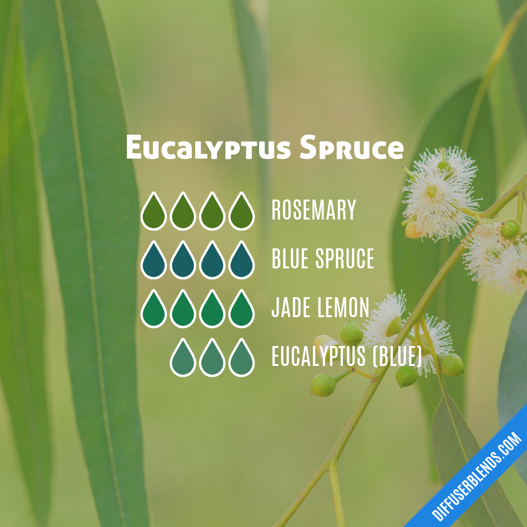 Eucalyptus Spruce — Essential Oil Diffuser Blend