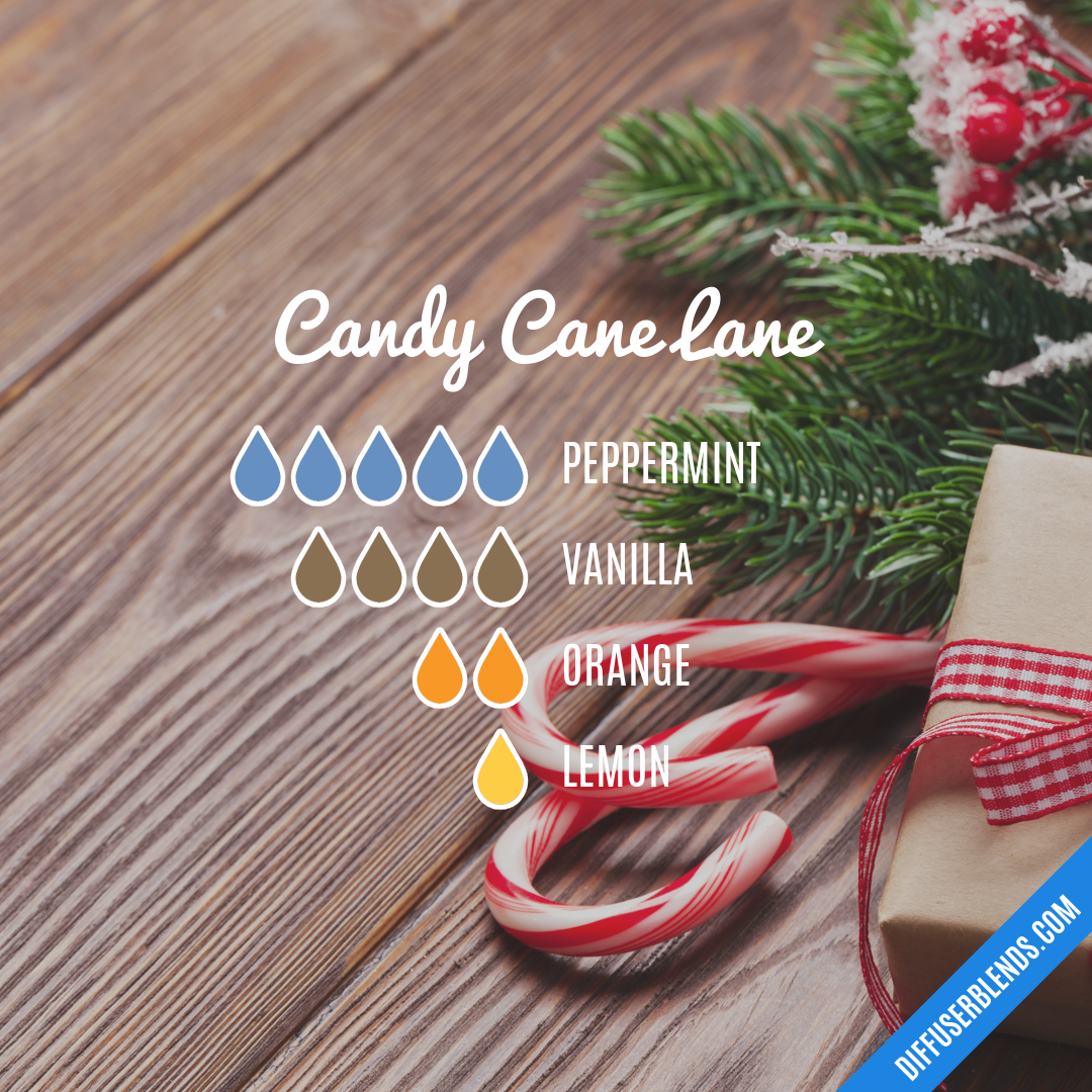 Candy Cane Lane