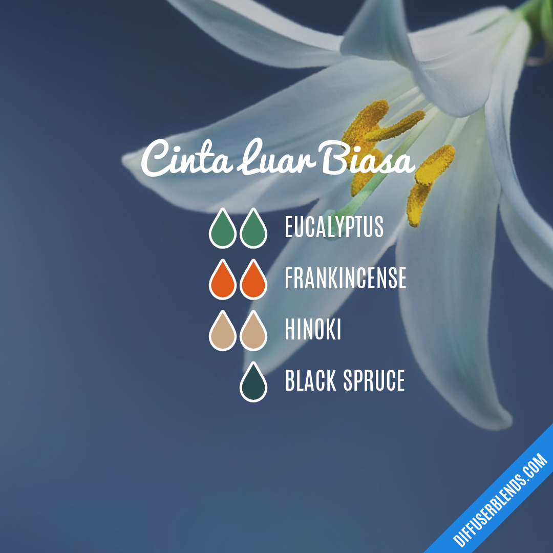 Cinta Luar Biasa DiffuserBlends com Cinta Luar Biasa DiffuserBlends com