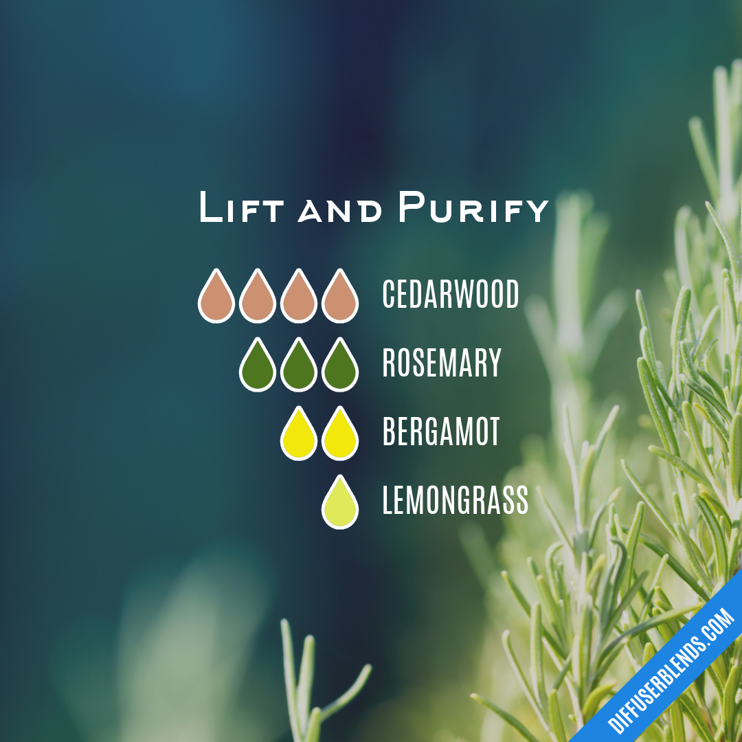Lift and Purify — Essential Oil Diffuser Blend