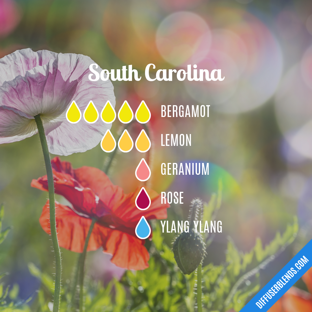 South Carolina — Essential Oil Diffuser Blend