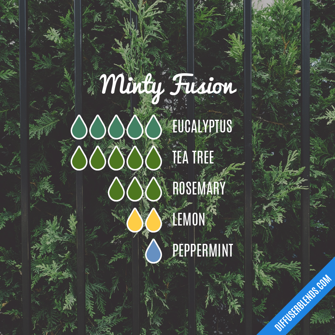 Minty Fusion — Essential Oil Diffuser Blend