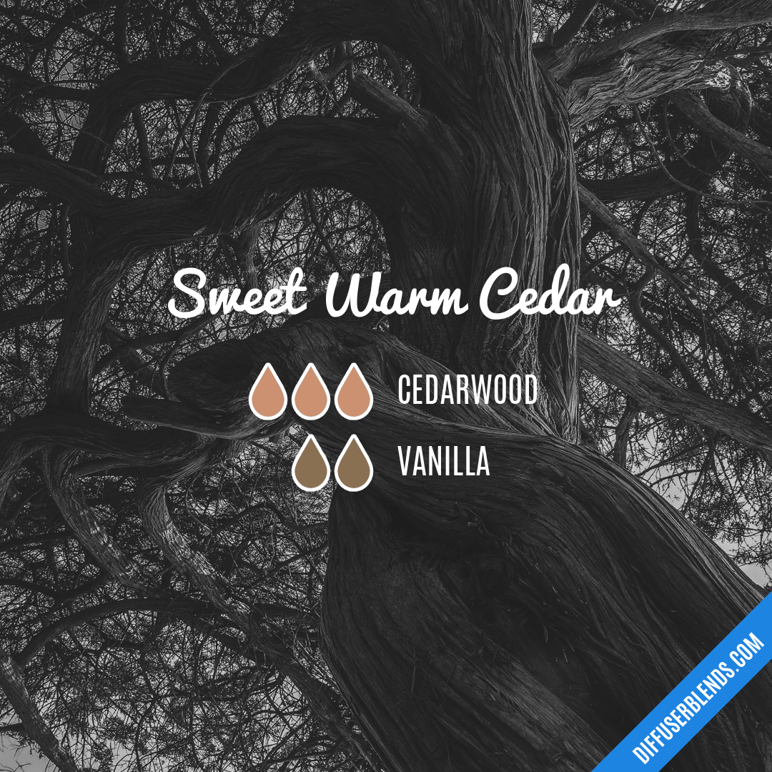 Sweet Warm Cedar — Essential Oil Diffuser Blend