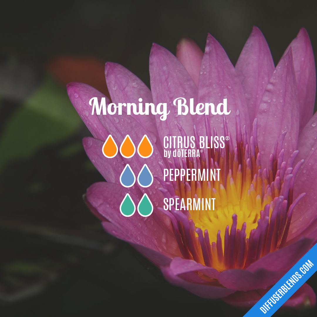 Morning Blend — Essential Oil Diffuser Blend