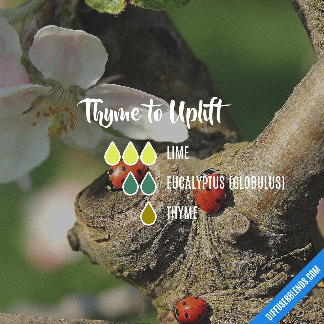 Thyme to Uplift — Essential Oil Diffuser Blend