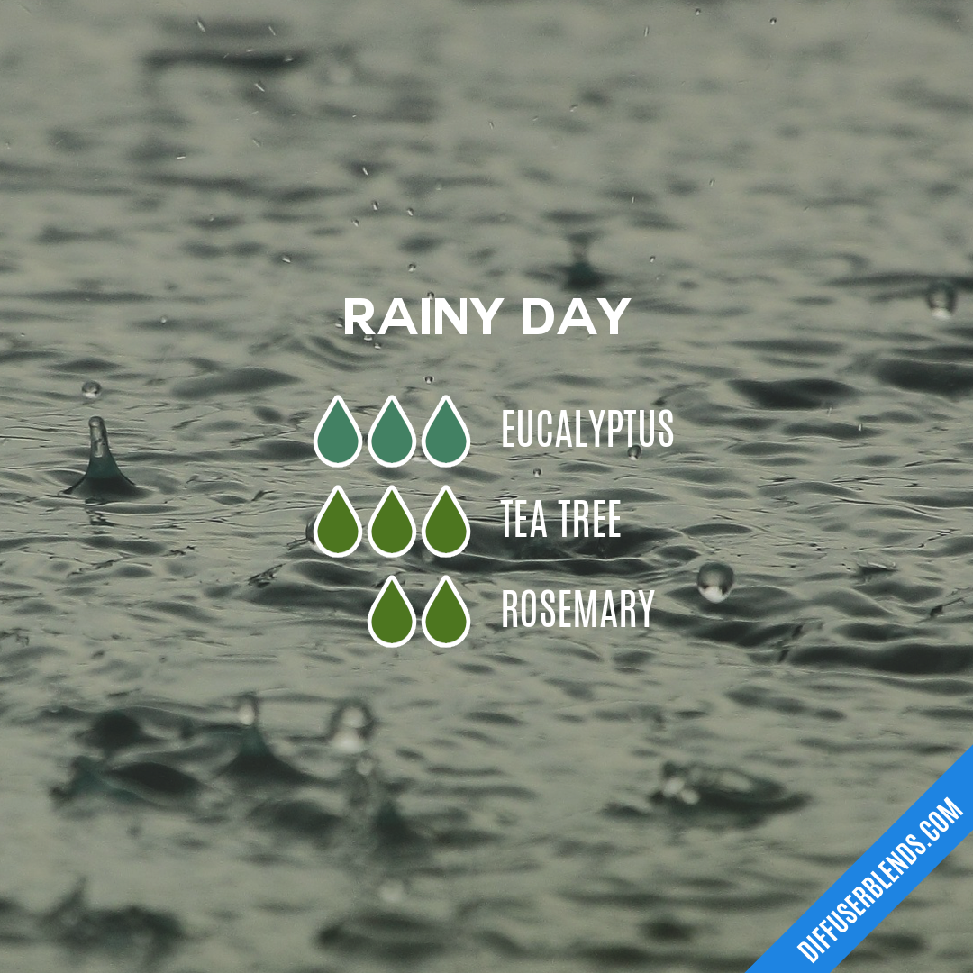 Rainy Day — Essential Oil Diffuser Blend
