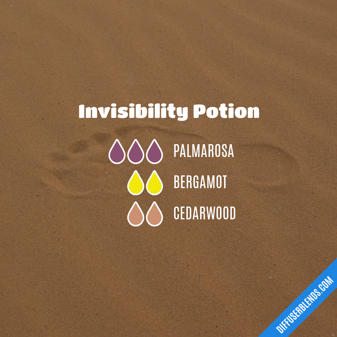 Invisibility Potion — Essential Oil Diffuser Blend