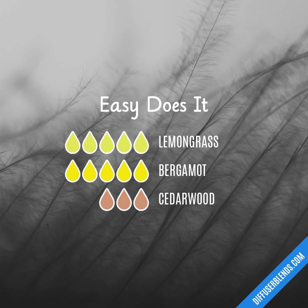 Easy Does It — Essential Oil Diffuser Blend